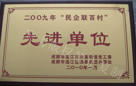 2009年四川省新技術應用先進單位